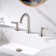 Reesley 8 in. Widespread 2-Handle Bathroom Faucet