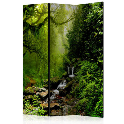 Vokolida 172cm H Solid Wood Folding Room Divider