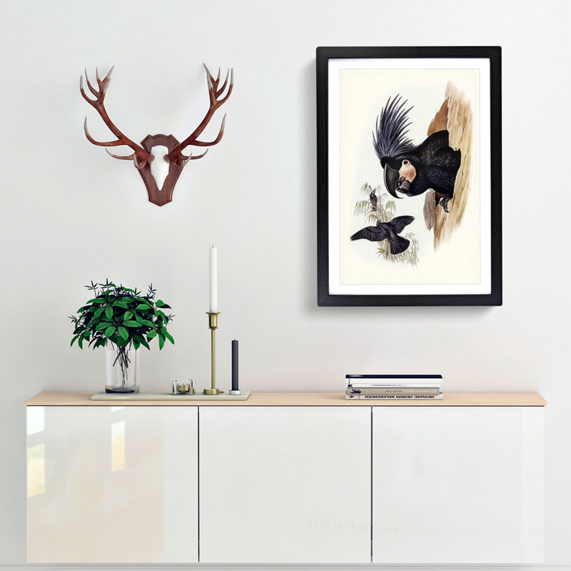 Great Palm-Cockatoos by Elizabeth Gould - Picture Frame Painting Print, 48cm H x 36cm W x 2cm D, Black Framed