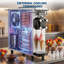Commercial Countertop Soft Serve Ice Cream Machine, Single Flavor Soft Serve Dispenser - Stainless Steel - 220V 50Hz - UK Plug - Color: Stainless Steel