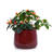 4 Pieces, Bean Paste Red, Ceramic Flowerpot, Contemporary, Patio, Garden, Windowsills, Heat And Weather - , Glossy Body Planter, Frost Finish-1539800058