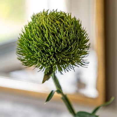 Arrangement