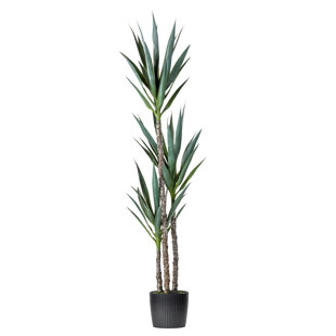Artificial Green Yucca Tree in Black Planters Pot.