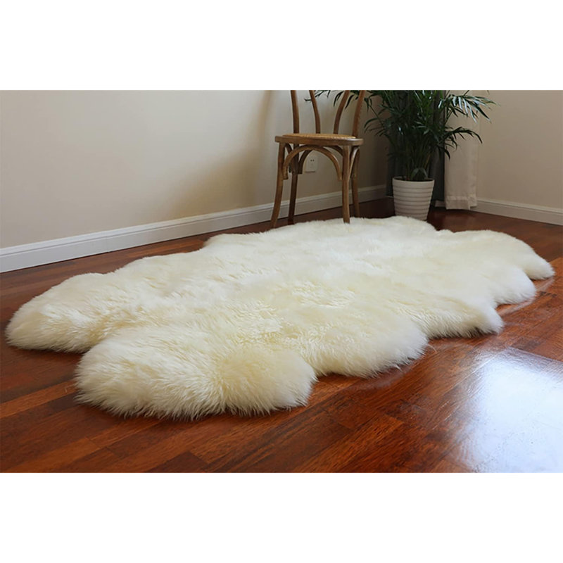 Area Rug