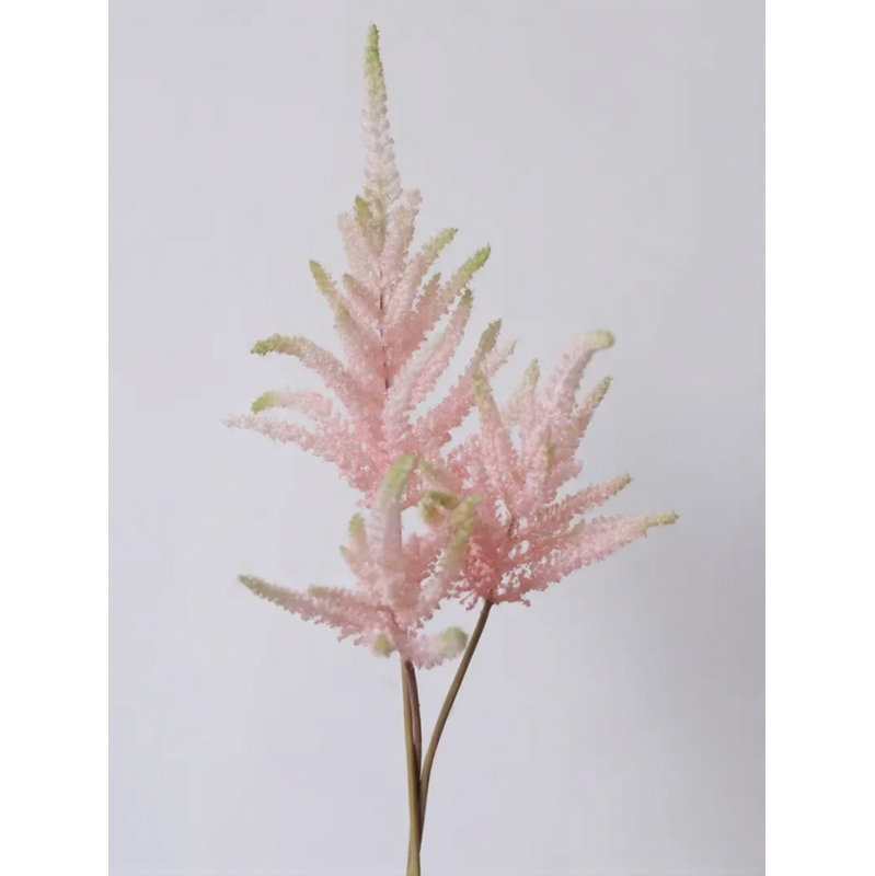 Blush Astilbe, [B] 3 Stems, Soft Pink Small