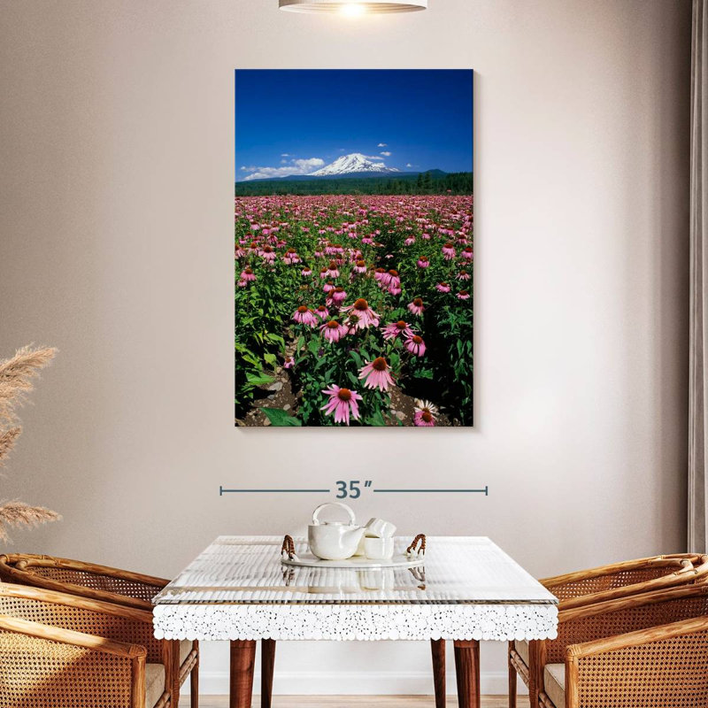 Harnek Echinacea Field, 48" H x 32" W