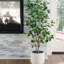 TREE EUCALPTUS POT 4FT