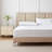 Solayne Seren Ultra-Soft 500TC Fitted Sheet 100% Long Staple Cotton, Deep Pocket (8-16"), Hotel Luxury for College Dorm-282522536