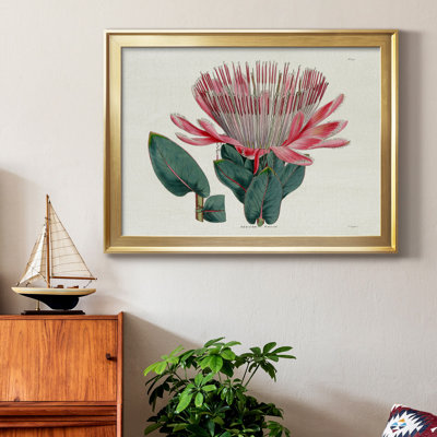 Protea N17 - Peinture sur toile encadrée