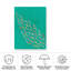 Baigneurs bolins-98096567