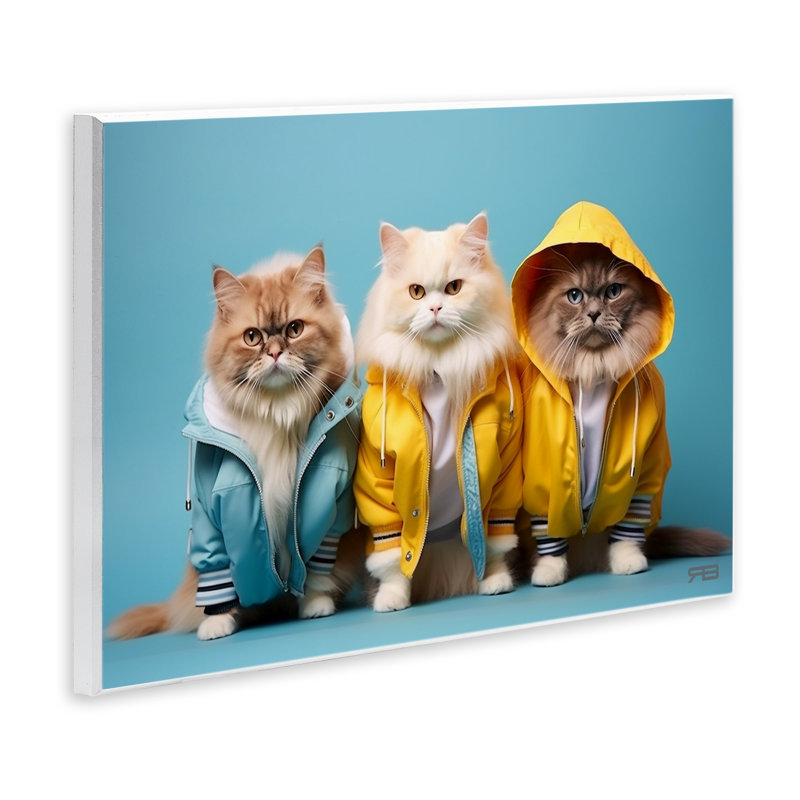 «Drôle de chats élégants» par Roozbeh Bahramali, H 10 po x l 15 po