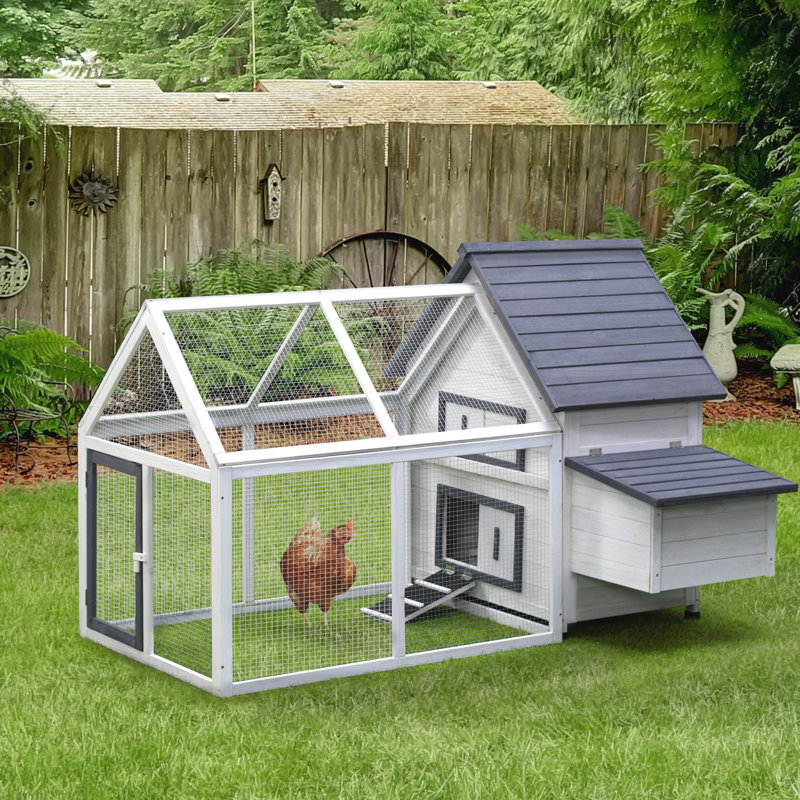 Gray and White Wooden Chicken Coop with Nesting Box and Ramp
