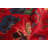 Rizbaft Red Rug 3'6" x 6'8"