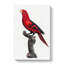 A Violet-Necked Lory by F. Levaillant - Wrapped Canvas-55368063