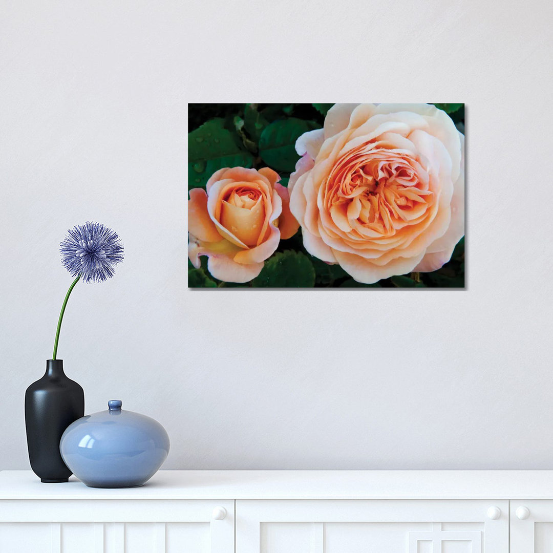 Unique by Panoramic Images - Wrapped Canvas Print