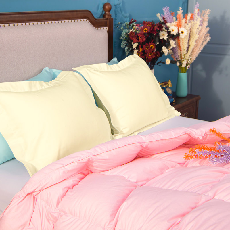 Decorative Pillowcases, 1800 Brushed Microfiber Oxford Pillowcases - NTBAY, Ivoire, 20 po x 36 po