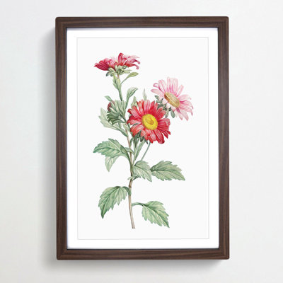 Red Aster Flowers by Pierre-Joseph Redoute - Picture Frame Painting Print