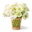 Navona Handmade Glass Table Vase-61883178