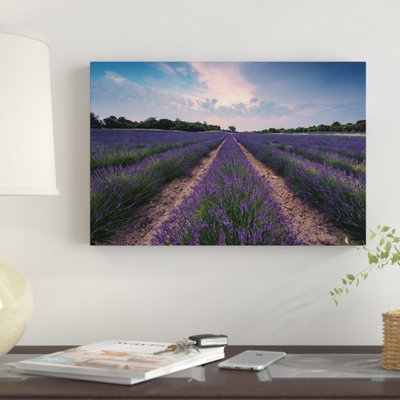 " Lavender Paradise " by Stefan Hefele
