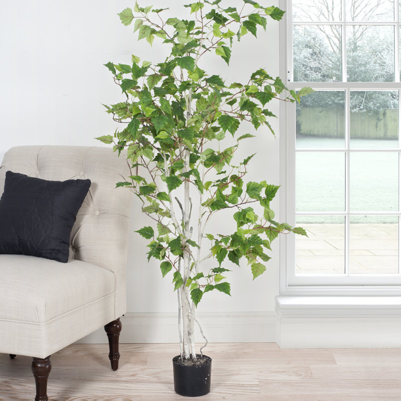 152.4 cm H Faux Birch Tree Plant in Resin Planter