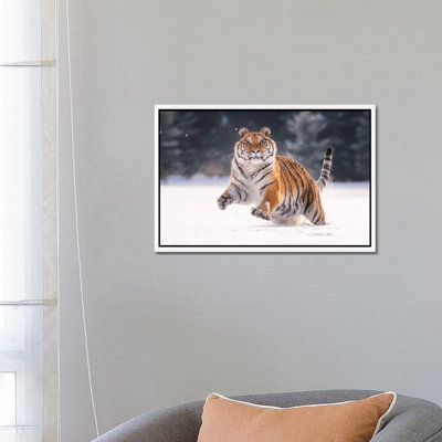Siberian Tiger Running In The Snow V by Dick Van Duijn - Print on Canvas