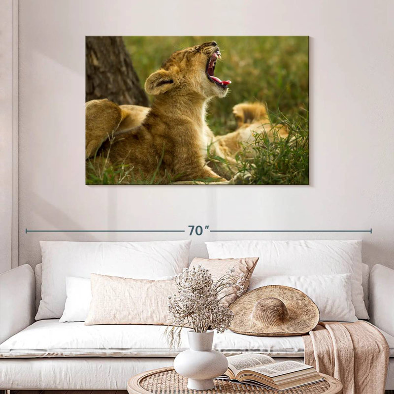 Crowle Sleepy Lion Cub, H 30 po x l 45 po