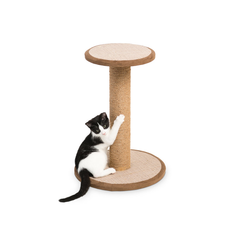 Poteau à gratter Borrego, Court (H 22 po x l 15,75 po x p 15,75 po)