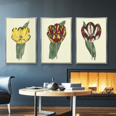 Antique Tulip II, ensemble de 3 toiles tendues avec châssis de qualité supérieure