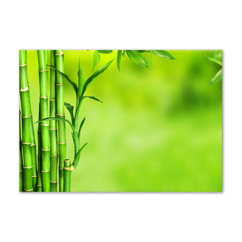Bamboo - Wrapped Canvas Print