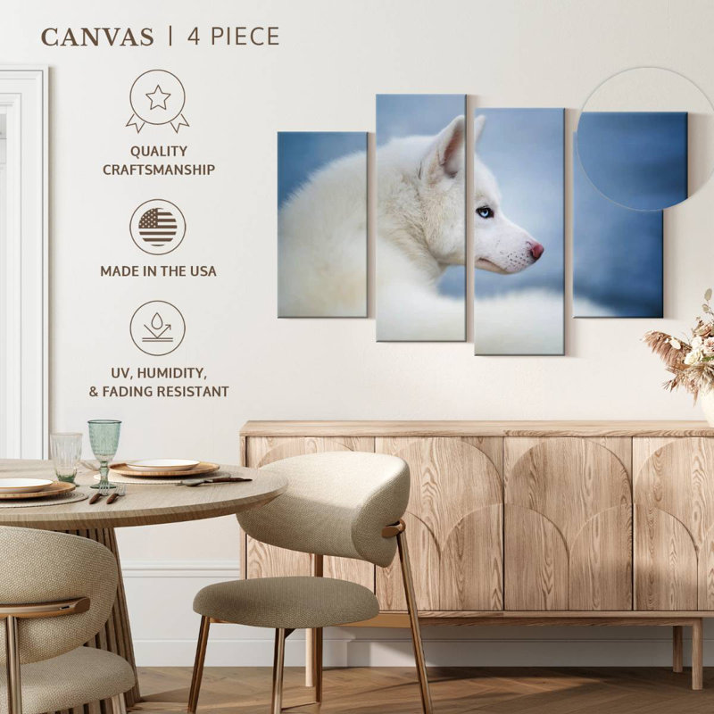 «Husky blanc pur» Brampt, 4 pièces