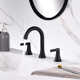 Widespread Bathroom Faucet with Drain Assembly