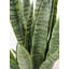 Snake artificiel en pot-22496763-22496764