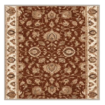 Tapis brun lavable à la machine