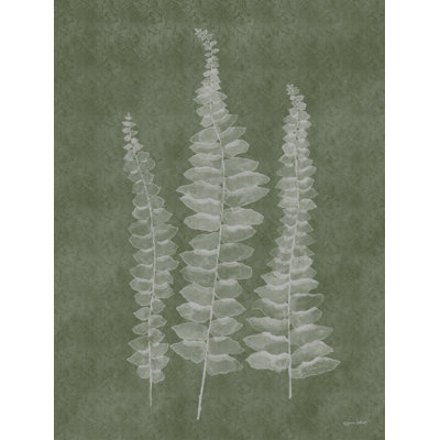 Woodland Ferns I