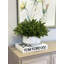 15'' Faux Boxwood Plant in Ceramic Pot