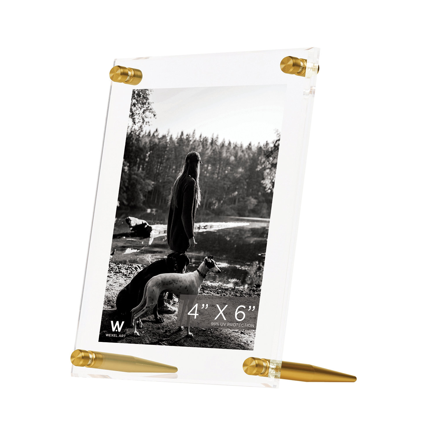 Acrylic Bevel Tabletop Float Frames, Gold, 4" x 6"