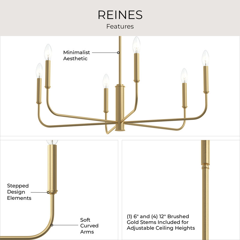Reines 6-Light Brushed Gold Large Chandelier, Brushed Gold, 6