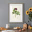 «Pretty Botanicals III», cadre photo-1776683588-1776683592