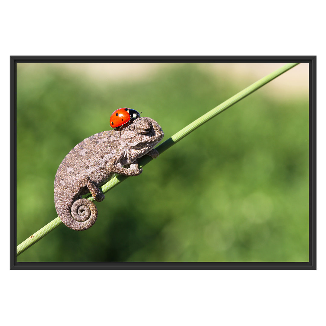 Gerahmtes Wandbild Süßer Gecko mit einem Marienkäfer