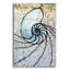 «Shell» par Rita Shimelfarb-101628033