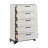 Contemporary Two-Tone 5-Drawer Storage Chest Bedroom Furniture 1Pc