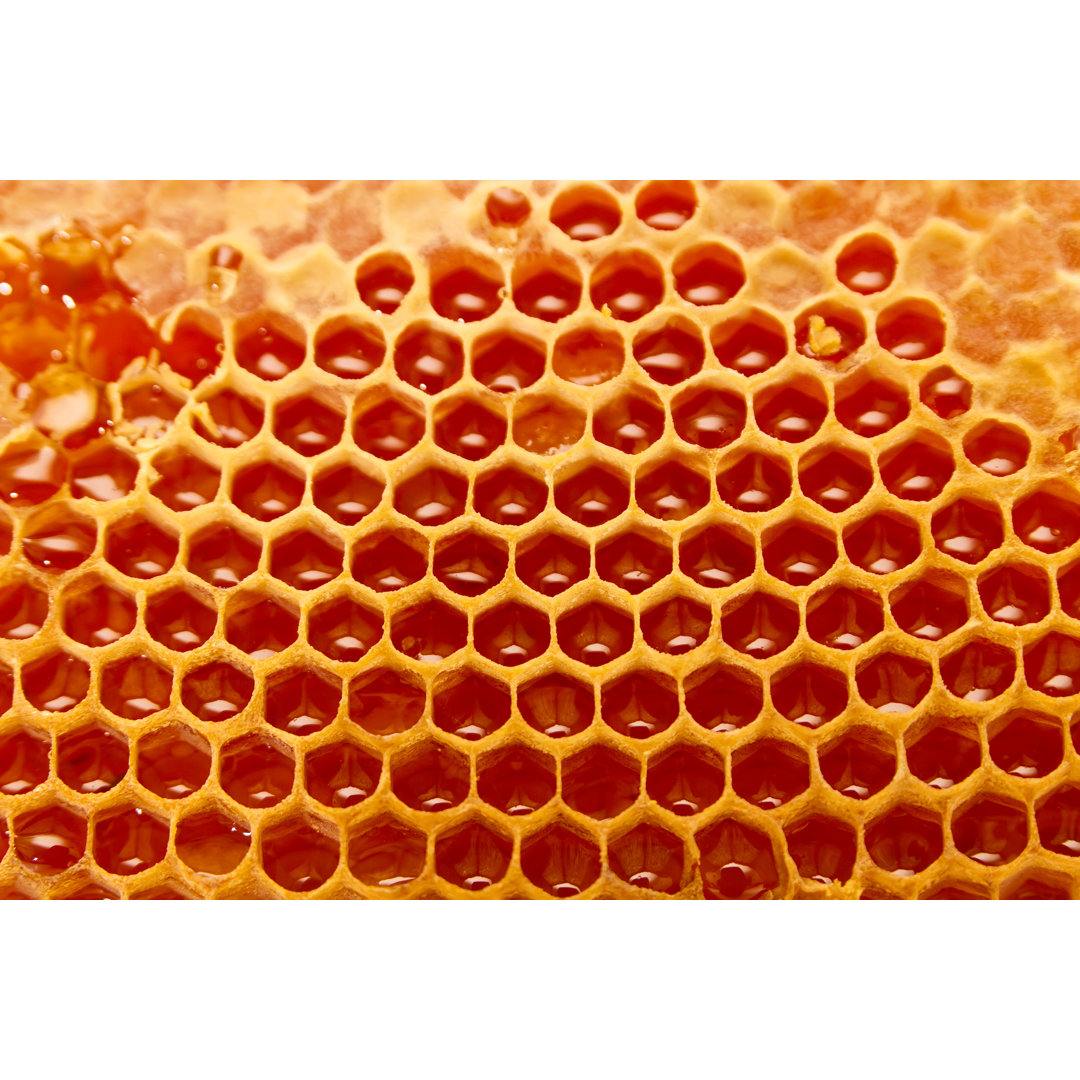 Honeycomb von Jordan_rusev - Kunstdrucke auf Leinwand