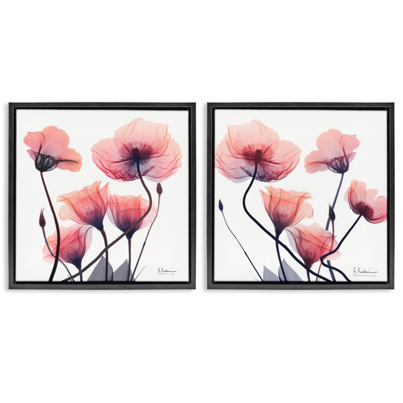Ensemble de cadres flottants variés 2 fleurs roses délavées, design par Albert Koetsier, H 18 po x l 18 po
