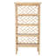 Chippendale Bookcase-87325857