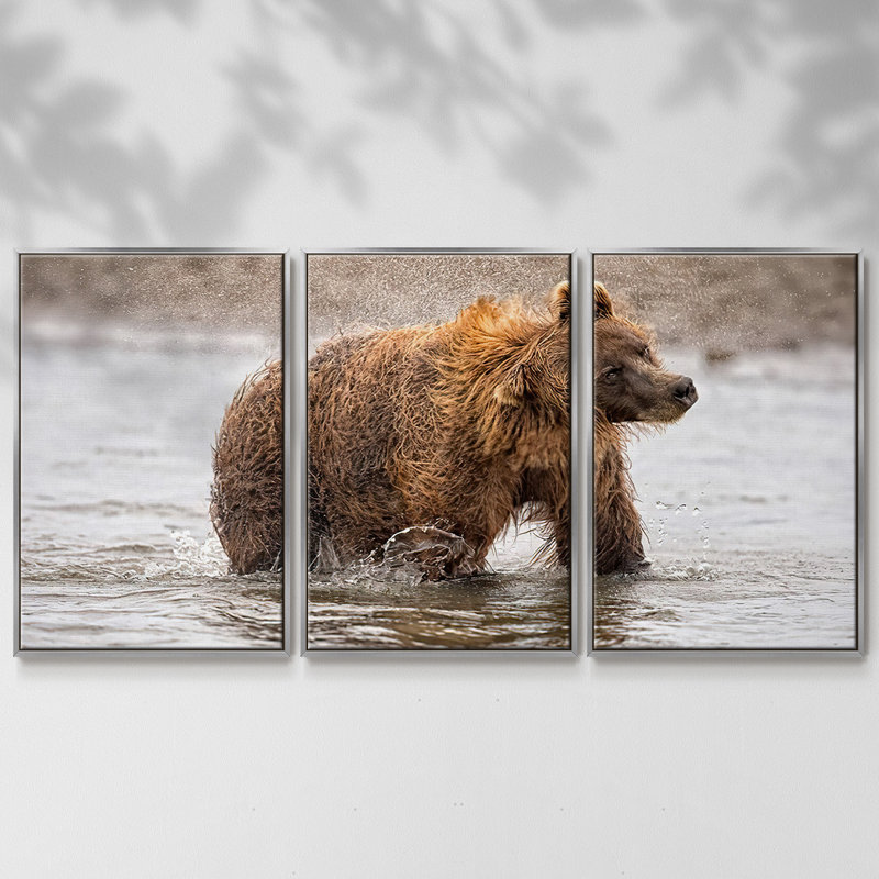 Étude de photographie Shake It Off 3 pièces, H 24 po x l 48 po x P 2 po, Argent