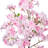 30" Potted Cherry Blossom Tree