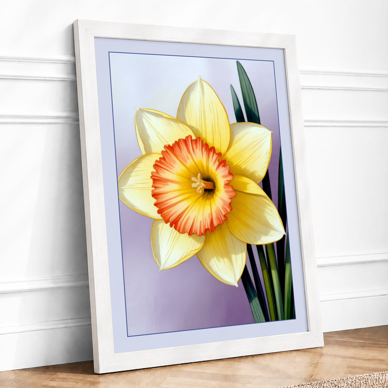 Daffodil Study Botanical - Framed Print, A2 - 59.4 x 42.0 cm, White