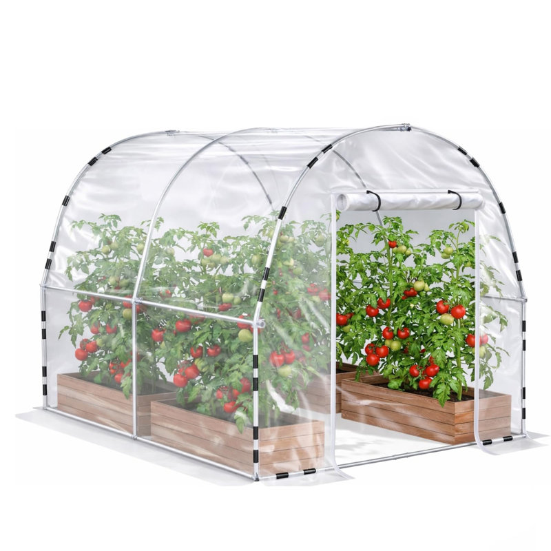 Walk-in Tunnel Greenhouse, Equipped With Galvanized Steel Frames And A Pe Cover, 7.9' W x 9.8' D