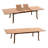Masten 12 - Person Teak Wood Patio Dining Set with Rectangular Table-1923642481