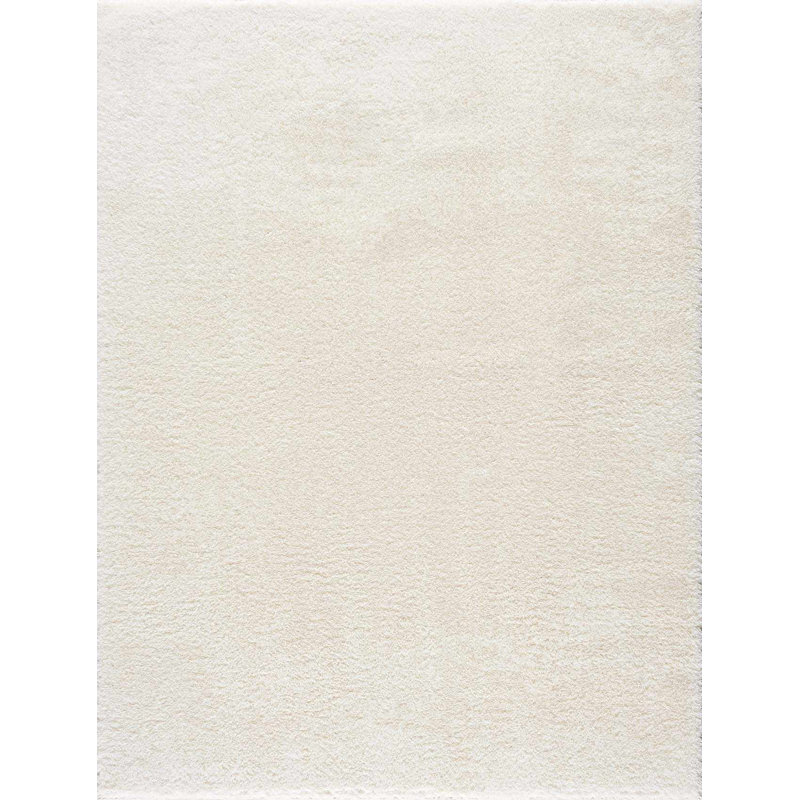 Tapis à poils longs Cleta, Rectangle 2 pi x 3 pi